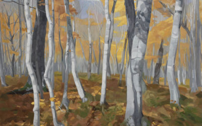 Can’t see the forest for the trees? Check out our latest show!