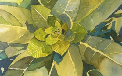 Raising the Bar Winners Announced!