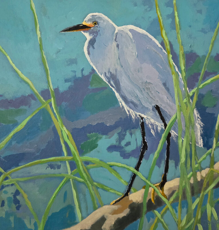 Wayne Hudson's Purple Shadows, Snowy Egret painting