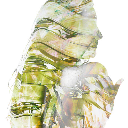 Samantha Hurley - Cypress - Photography - Metal Print - 1 of 1 - 5.5 x 7