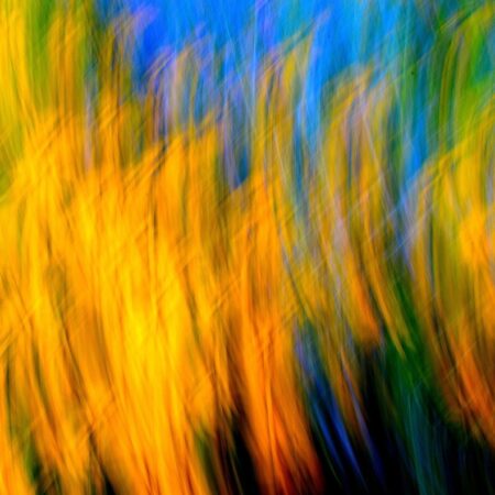 Jeffrey J Nagy - Water Side Flowers - Fine Art Photography - 20 X 24