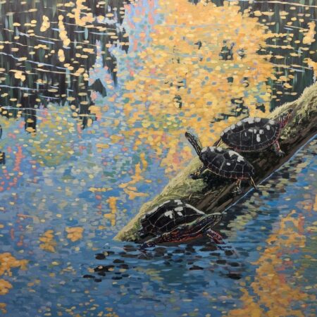 Wayne Hudson - Quiet Waters-Painted Turtles - Acrylic on canvas - 40x40x1.5