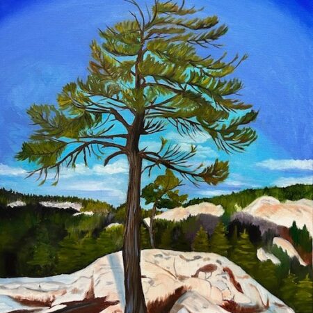Marj Gegear - Killarney, Nellie Lake Tree - Oil on Canvas - 20x24