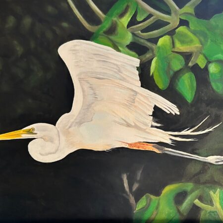 Marj Gegear - Great Egret, In Flight - Oil on Canvas - 18x24
