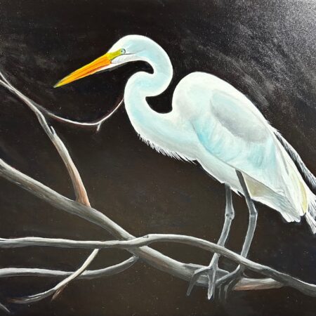 Marj Gegear - Great Egret, At Rest - Oil on Canvas - 18x24