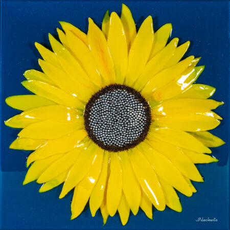 Jorge Nascimento - Sunflower - Mixed media - 22 22x2.75