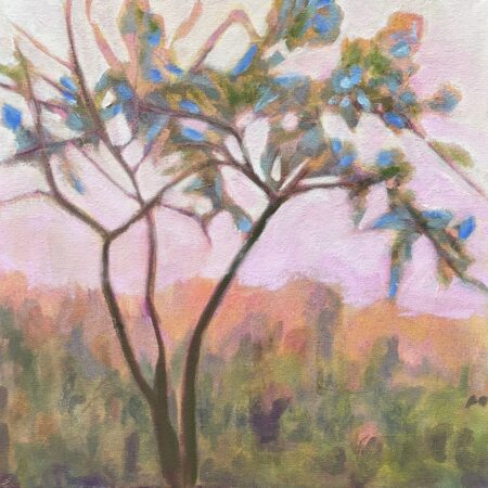 Piera Pugliese - Crabapple Not Blooming - Oil on canvas - 14”x14"