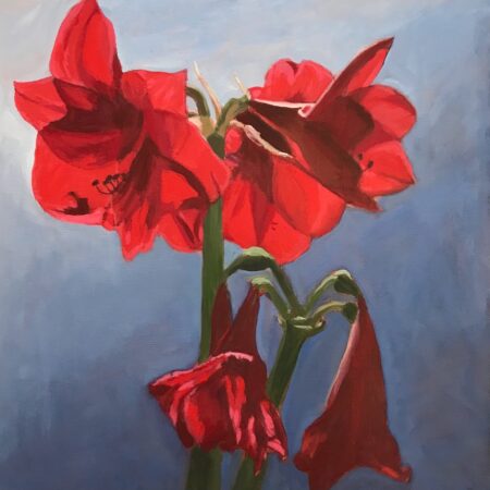 Piera Pugliese - Amaryllis - Oil on canvas - 18”x18”