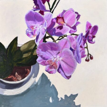 Piera Pugliese - Phalaenopsis - oil on cradle board - 10”x10”