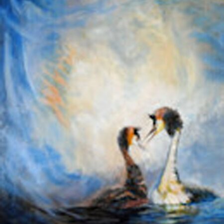 Lynda Moffatt - Meet the Grebes - Oils, Charcoal, acrylics - 24x20