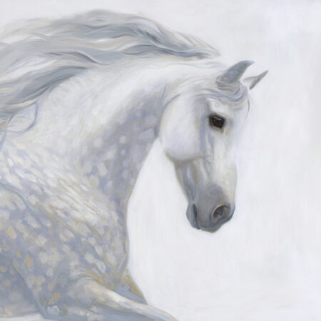 Angela Burdon - Abundance of White - Oil on canvas - 36'' x 48'' x 2''
