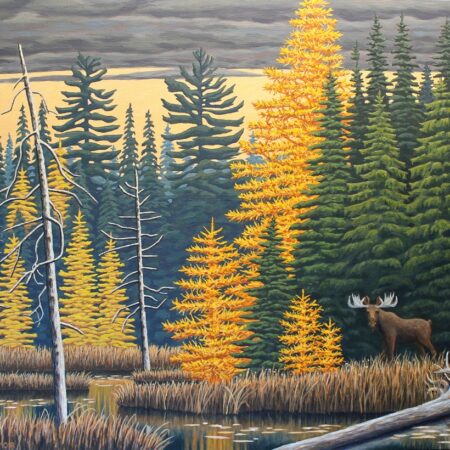 David Moir - Moose Amid Tamarack - Oil on Canvas - 24'' x 30'' x 1.5''