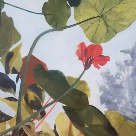 Anne Schnurr - Reaching for the Sun - Acrylic on Canvas - 16'' x 20'' x1.5''
