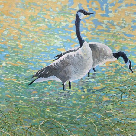 Wayne Hudson - Mottled Light- Canada Geese - Acrylic on canvas - 48'' x 48'' x 1.5''