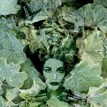 Helen Anne Lemke - Mother Nature is Watching - Photoartistry printed on canvas - 20'' x 16'' x 1.5''