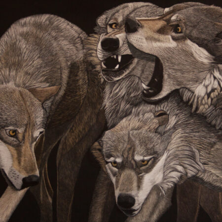 Margaret Pardy - Sibling Rivalry - Ink on Scratchboard - 18'' x 24'' x 1''