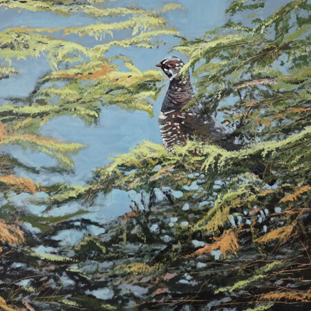 Wayne Hudson - Hiding in Plain Sight-Spruce Grouse - Acrylic on Wood Panel - 20x20x1.5