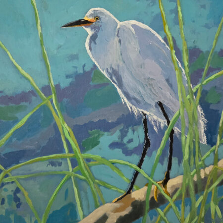 Wayne Hudson - Purple Shadows - Snowy Egret - Acrylic on Canvas - 12x12x1.5