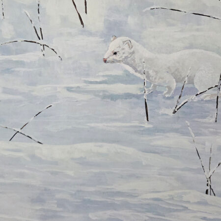 Wayne Hudson - Winter Camouflage - Long Tailed Weasel - Acrylic on Canvas - 24x20x1.5