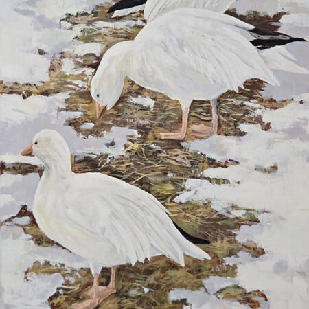 Wayne Hudson - Spring Stopover - Snow Geese - Acrylic on Canvas - 22.5x48x2.5