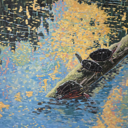 Wayne Hudson - Quiet Waters - Painted Turtles - Acrylic on Canvas - 40x40x1.5